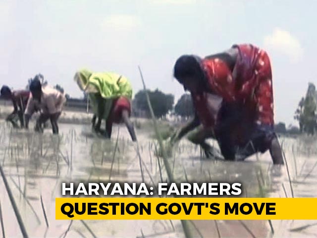 Haryana Government's Incentive Scheme For Farmers Gets Lukewarm Response