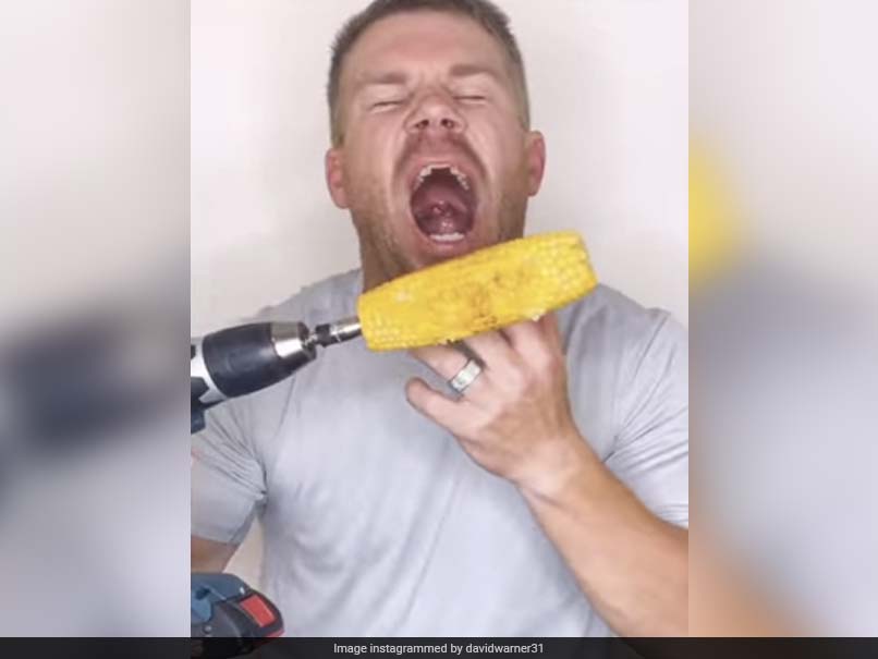 "Dont Try This At Home": David Warner Tries Hilarious Life Hack In New Video. Watch
