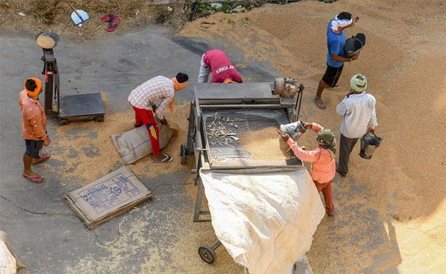 Why Did India Decide to Ban Its Wheat Exports?
