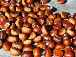 Nutritionist-Approved Reasons To Include Chestnuts In Your Winter Diet