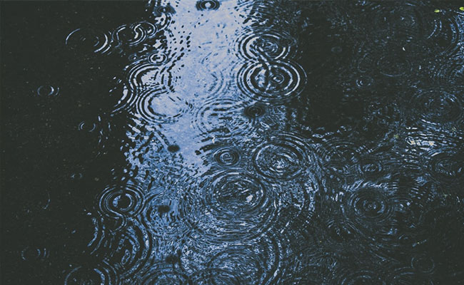 Thunderstorms, Rainfall "Likely" In Parts Of West Bengal Today: Weather Office