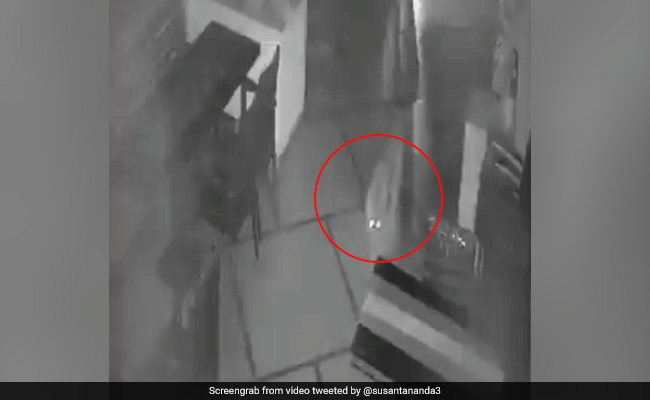 आधी रात को नासिक के इस कॉफी शॉप के अंदर घूमता दिखा तेंदुआ, CCTV फुटेज हुई वायरल