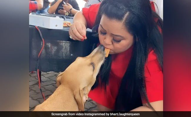 भारती सिंह ने अपने मुंह से खिलाए डॉगी को बिस्कुट, बोलीं- ये सिर्फ प्यार मांगते हैं... देखें Video