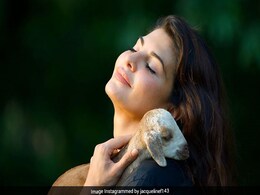 लॉकडाउन में जैकलीन फर्नांडिस शुरू कर रही हैं डांस का नया मुकाबला, घर बैठे ले सकते हैं हिस्सा लॉकडाउन में जैकलीन फर्नांडिस शुरू कर रही हैं डांस का नया मुकाबला, घर बैठे ले सकते हैं हिस्सा