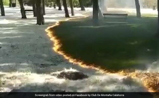 A Fire Burns Without Touching Trees Or Grass In This Baffling Video