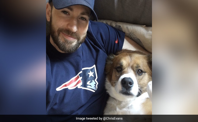 Chris Evans Gave His Dog A Haircut In Quarantine. It Went "So Wrong"