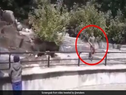 शराब के नशे में पानी के अंदर भालू से भिड़ गया यह शख्स, जबड़ा पकड़ा और फिर... देखें Viral Video शराब के नशे में पानी के अंदर भालू से भिड़ गया यह शख्स, जबड़ा पकड़ा और फिर... देखें Viral Video