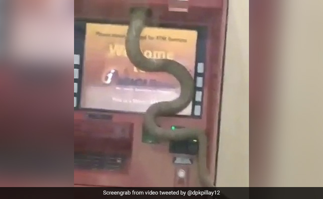 The Strangest, Most Terrifying Places Where People Have Found Snakes