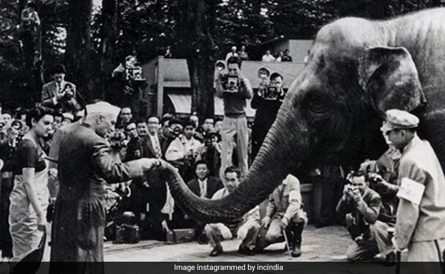 Pandit Nehru Once Got An Unusual Request From Japanese Children - Send Us An Elephant