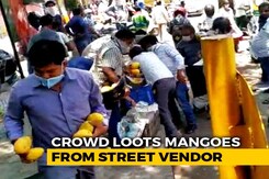 Delhi Crowd Loots Mangoes Worth Thousands From Street Vendor Delhi Crowd Loots Mangoes Worth Thousands From Street Vendor