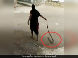 कोबरा को रस्सी की तरह पकड़ा और घसीटते हुए घर से बाहर लाकर दादी ने किया ऐसा... देखें Shocking Video कोबरा को रस्सी की तरह पकड़ा और घसीटते हुए घर से बाहर लाकर दादी ने किया ऐसा... देखें Shocking Video