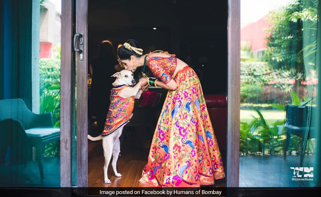 Remember This Bride's Viral Pics With Her Dog? Here's Her Story