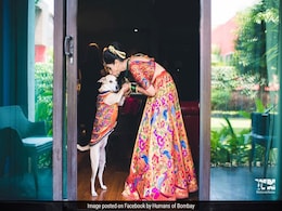 Remember This Bride's Viral Pics With Her Dog? Here's Her Story Remember This Bride's Viral Pics With Her Dog? Here's Her Story