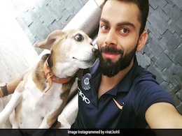 विराट कोहली के कुत्ते की हुई मौत, तो ट्विटर टॉप ट्रेंड करने लगा Bruno, लोग बोले- 'भगवान उसे स्वर्ग में जगह दे...' विराट कोहली के कुत्ते की हुई मौत, तो ट्विटर टॉप ट्रेंड करने लगा Bruno, लोग बोले- 'भगवान उसे स्वर्ग में जगह दे...'