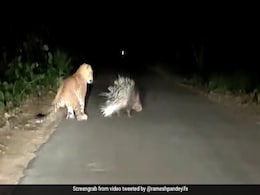तेंदुए ने किया Attack, तो इस जानवर ने ऐसा किया वार कि तड़पकर रह गया शिकारी - देखें पूरा Video तेंदुए ने किया Attack, तो इस जानवर ने ऐसा किया वार कि तड़पकर रह गया शिकारी - देखें पूरा Video