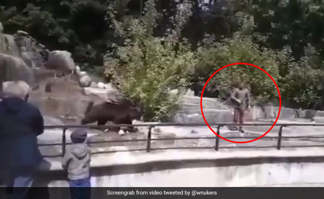 Caught On Camera: Man Enters Bear Enclosure At Zoo, Tries To Drown Animal