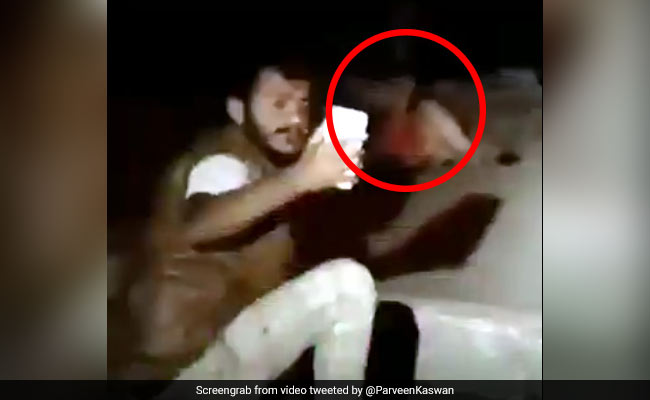 TikTok पर हीरो बनने के लिए शेर के साथ सेल्फी ले रहा था शख्स, पुलिस ने पकड़ा और... देखें Video