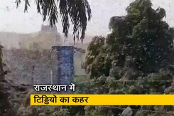 राजस्थान में जयपुर से दौसा पहुंचा टिड्डियों का दल, फसलों को पहुंचा रहा है नुकसान राजस्थान में जयपुर से दौसा पहुंचा टिड्डियों का दल, फसलों को पहुंचा रहा है नुकसान