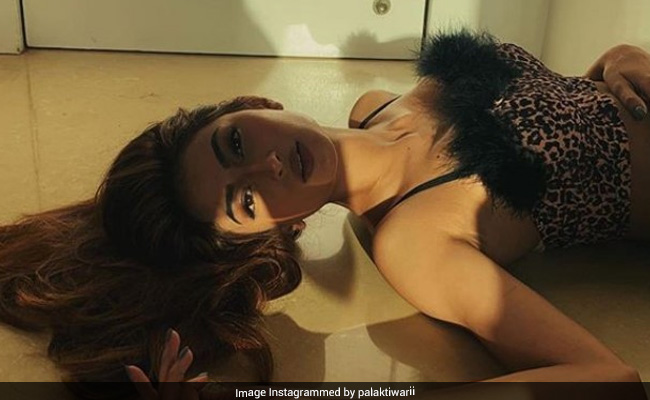 श्वेता तिवारी की बेटी पलक तिवारी ने लेटेस्ट फोटोशूट से फिर मचाया तहलका, इस अंदाज में आईं नजर- देखें Photo