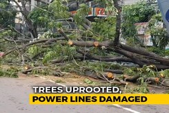 Kolkata's Famous Park Street Devastated By Cyclone Amphan Kolkata's Famous Park Street Devastated By Cyclone Amphan