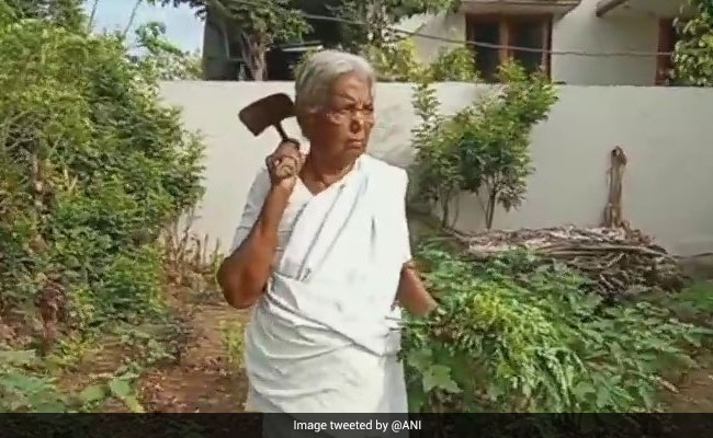 84-Year-Old Woman Promotes Kitchen Garden Culture In Coimbatore