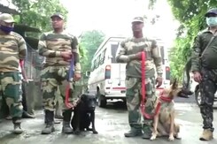 Bengal Recruits 2 Canines To Crack Down On Poaching In COVID-19 Times Bengal Recruits 2 Canines To Crack Down On Poaching In COVID-19 Times