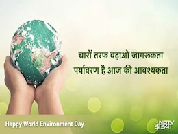 World Environment Day 2021: ये हैं वो 5 इनडोर प्लांट्स जो घर के अंदर की हवा को करते हैं शुद्ध World Environment Day 2021: ये हैं वो 5 इनडोर प्लांट्स जो घर के अंदर की हवा को करते हैं शुद्ध