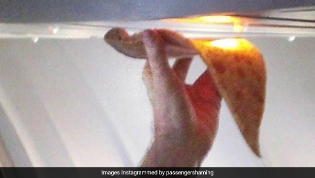 Airline Passenger Has This Hilarious Way To Heat Pizza Slice While In Flight