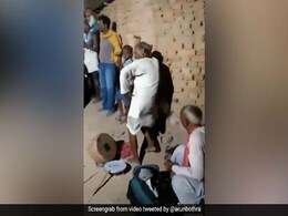 डांस कर रहे लोगों को देख 'ताऊ' को भी आया जोश, ऐसे लगाए ठुमके, देसी टैलेंट देख सब हैरान - देखें Video डांस कर रहे लोगों को देख 'ताऊ' को भी आया जोश, ऐसे लगाए ठुमके, देसी टैलेंट देख सब हैरान - देखें Video