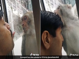 खिड़की बंद कर बंदर को चिढ़ाने लगा शख्स, जानवर ने फिर ऐसे लिया बदला, 1 करोड़ से ज्यादा बार देखा गया Video खिड़की बंद कर बंदर को चिढ़ाने लगा शख्स, जानवर ने फिर ऐसे लिया बदला, 1 करोड़ से ज्यादा बार देखा गया Video