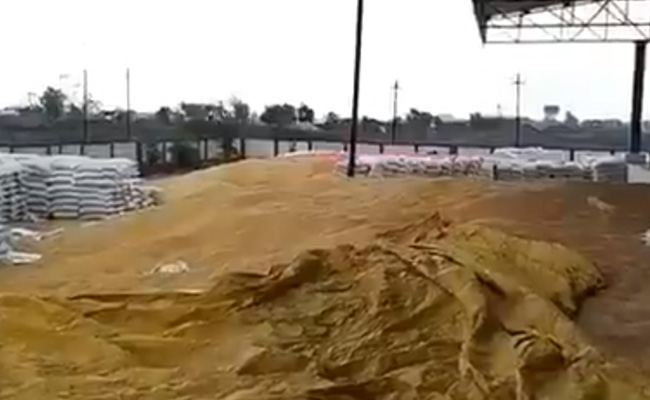 मध्यप्रदेश में बारिश ने दस्तक दे दी, खरीदी केंद्रों में रखे अनाज पर संकट के बादल