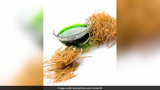 Khus roots can prevent UTI
