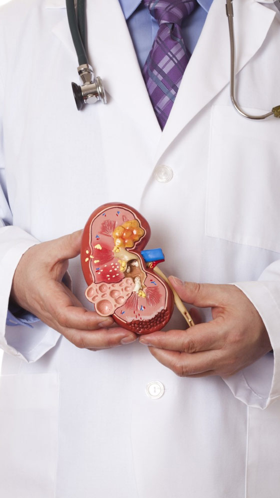 Health Tips: किडनी स्टोन के मरीजों को किन चीजों से बना लेनी चाहिए दूरी? जानिए यहां