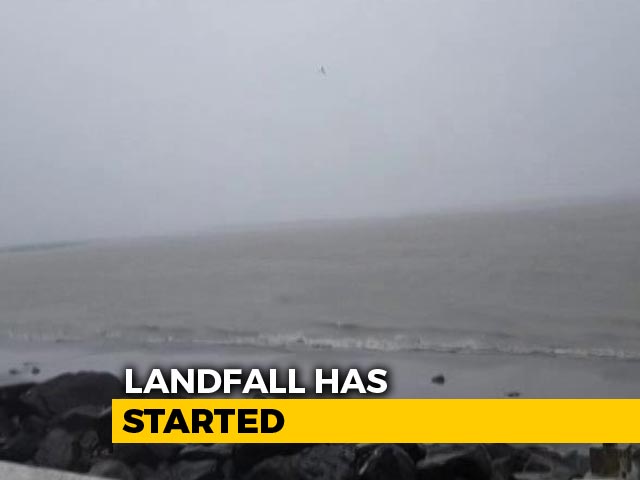 Strong Cyclonic Winds Uproot Trees In Mumbai Suburbs As Cyclone Nisarga Makes Landfall