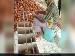 शख्स ने फल बेचने का निकाला ऐसा नायाब तरीका, सोशल मीडिया पर हो रही है वाहवाही... देखें Video शख्स ने फल बेचने का निकाला ऐसा नायाब तरीका, सोशल मीडिया पर हो रही है वाहवाही... देखें Video