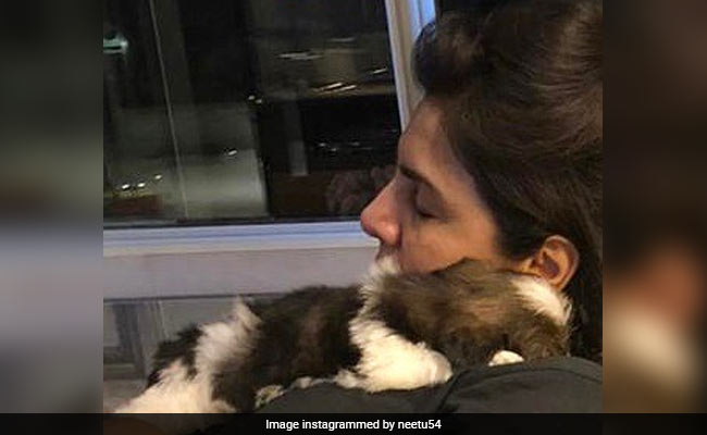 Neetu Kapoor Introduces New Family Member: Fur-Baby Doodle Kapoor. See Pic