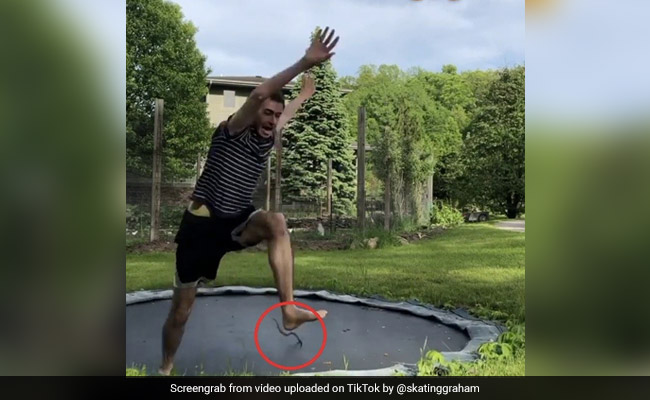 Watch What Happened When A Snake Joined A Man On Trampoline