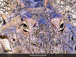 क्या आप फोटो में दिख रहे खतरनाक जानवर को उसकी आंखों से पहचान सकते हैं? क्या आप फोटो में दिख रहे खतरनाक जानवर को उसकी आंखों से पहचान सकते हैं?