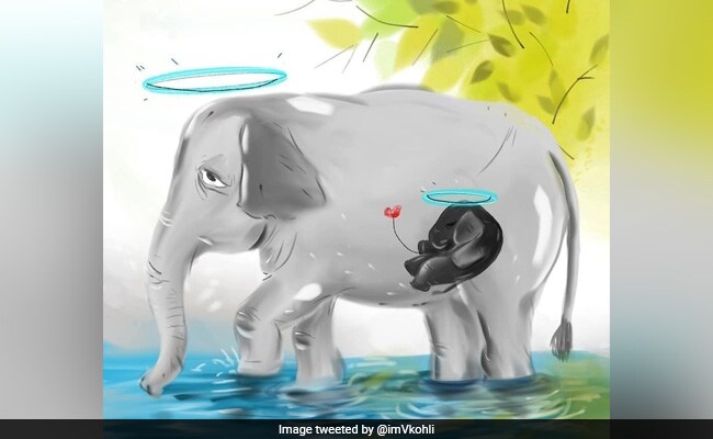 Virat Kohli emotional reaction on pregnant elephant dies after eatin cracker filled pineapple Virat Kohli emotional reaction on pregnant elephant dies after eatin cracker filled pineapple