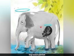 गर्भवती हथिनी की मौत से छलका विराट कोहली का दर्द, इमोशनल कार्टून शेयर कर लोगों से की यह अपील गर्भवती हथिनी की मौत से छलका विराट कोहली का दर्द, इमोशनल कार्टून शेयर कर लोगों से की यह अपील