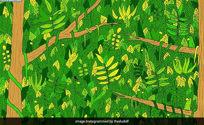 Finding The Snake In This Pic Is "Very Hard". How Quickly Can You Do It?