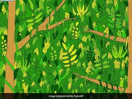 क्या आप ढूंढ सकते हैं इस तस्वीर में सांप? सोशल मीडिया पर छाई सबसे मुश्किल पहेली, कोई नहीं दे पाया जवाब क्या आप ढूंढ सकते हैं इस तस्वीर में सांप? सोशल मीडिया पर छाई सबसे मुश्किल पहेली, कोई नहीं दे पाया जवाब