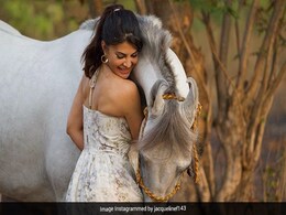 सलमान के फार्म हाउस पर यूं समय गुजार रही हैं जैकलिन फर्नांडीस, बोलीं- घुड़सवारी करती हूं और हिंदी का कोर्स... सलमान के फार्म हाउस पर यूं समय गुजार रही हैं जैकलिन फर्नांडीस, बोलीं- घुड़सवारी करती हूं और हिंदी का कोर्स...