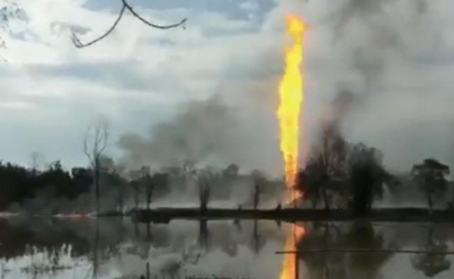 Environmentalists Fear Long-Term Impact Of Oil Well Fire On Assam Biodiversity