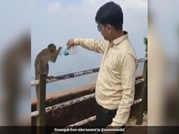 शख्स के हाथ में पानी की बोतल देख प्यासे बंदर ने रोका रास्ता, पकड़कर ऐसे गट-गट पी गया पानी... देखें Viral Video शख्स के हाथ में पानी की बोतल देख प्यासे बंदर ने रोका रास्ता, पकड़कर ऐसे गट-गट पी गया पानी... देखें Viral Video
