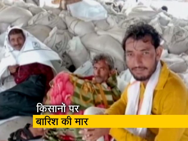 मध्य प्रदेश : किसानों को बारिश से हो रहा नुकसान