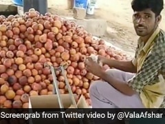 Man's Simple Hack To Sort Fruits By Size Garners Praise For Its Ingenuity Man's Simple Hack To Sort Fruits By Size Garners Praise For Its Ingenuity