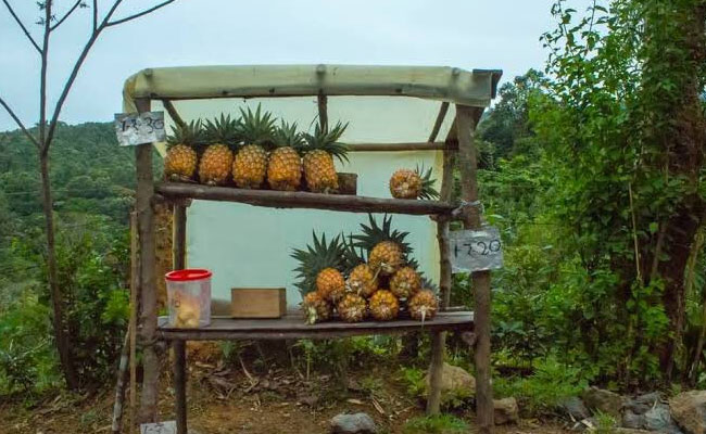 बिना दुकानदार के चलती है ये दुकान, लोग सामान के बदले खुद से पैसे रखकर चले जाते हैं