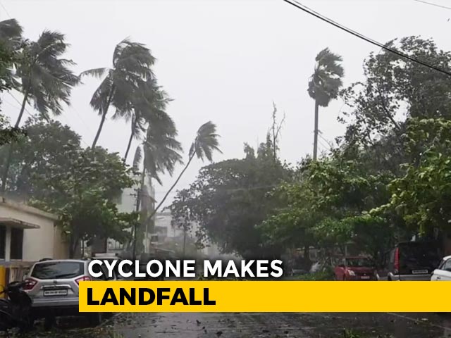 Cyclone Impact Video: Strong Winds, Rain Pound Alibaug, Trees Uprooted