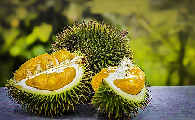 Durian's dietary fibre aids in facilitating easier bowel movements